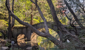 arisugawa park
